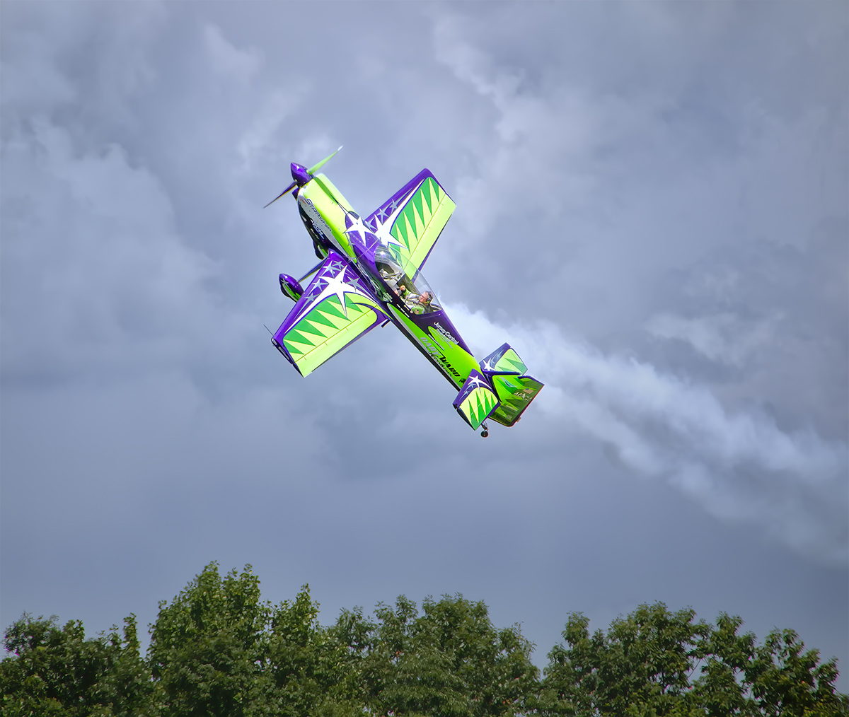Forrest Marjorie Sideways flying over trees AssignedSubject   Motion Photography 20251008